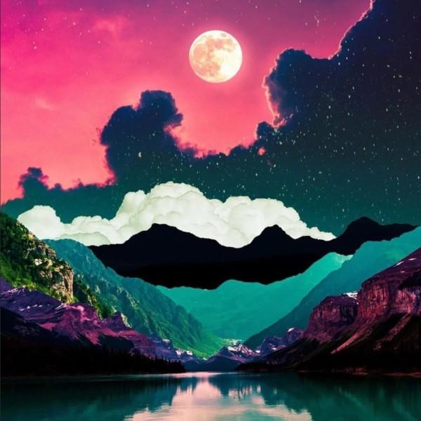 唯一的幸存者