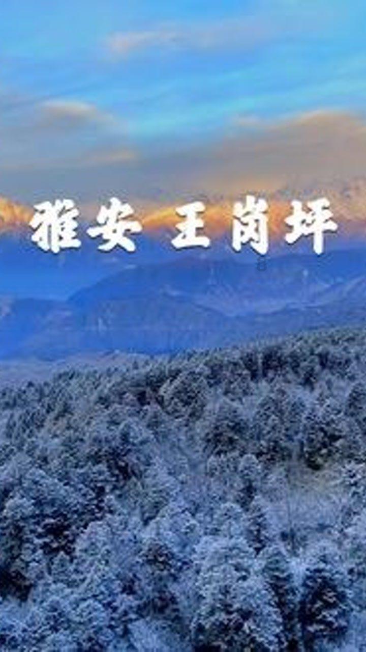83年严打大案 唐山菜刀队